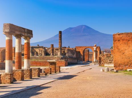 Pompeii and Herculaneum Excursion and Wine tasting